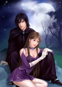 夜少的二婚新妻